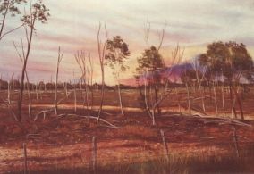 'Burning Skies' by Lynton Allan